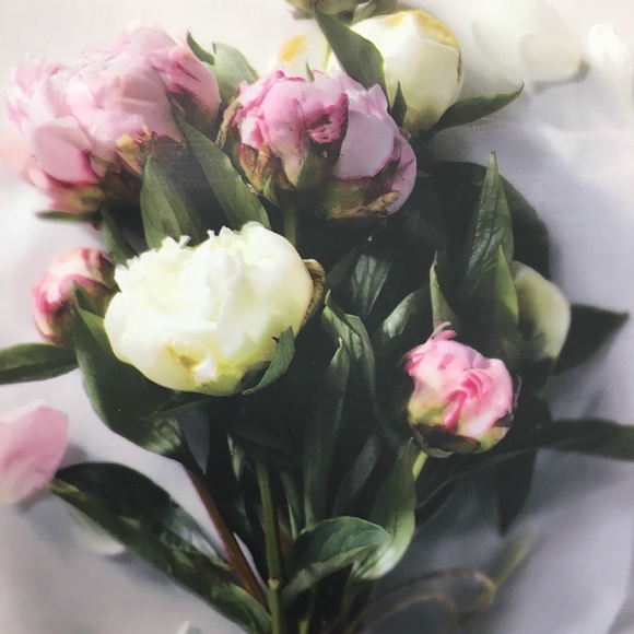 @jina123 - ❤️ THIS TO SAVE - Picture 3 of 12